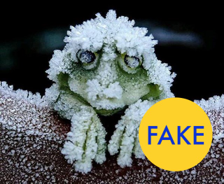 Illustration for article titled 7 More Viral Photos That Are Totally Fake